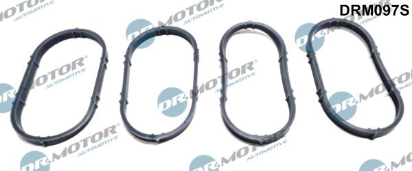 Dr.Motor Automotive DRM097S - Gasket Set, intake manifold onlydrive.pro