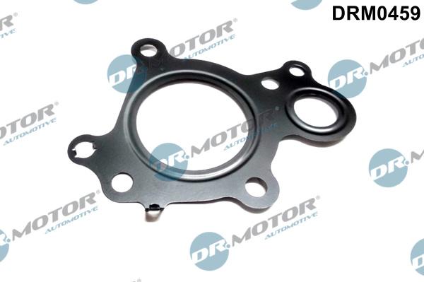 Dr.Motor Automotive DRM0459 - Blīve, Izplūdes gāzu recirkulācijas vārsts onlydrive.pro