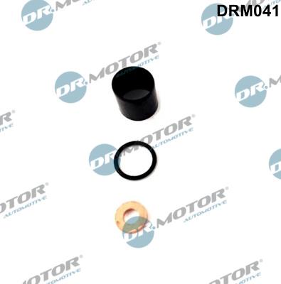 Dr.Motor Automotive DRM041 - Seal Kit, injector nozzle onlydrive.pro