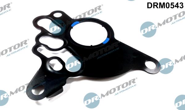 Dr.Motor Automotive DRM0543 - Gasket, vacuum pump onlydrive.pro