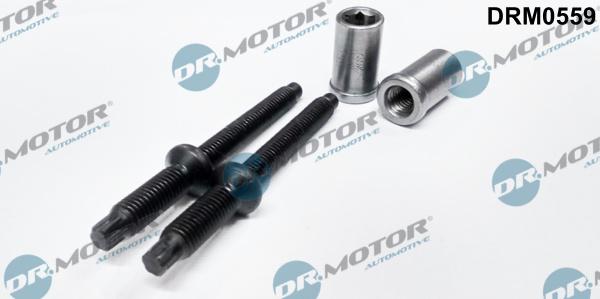 Dr.Motor Automotive DRM0559 - Screw, injection nozzle holder onlydrive.pro