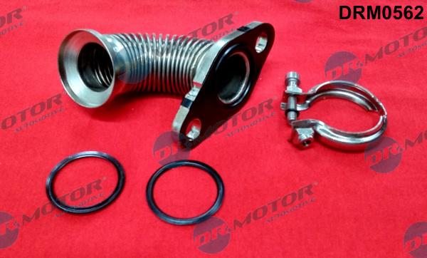 Dr.Motor Automotive DRM0562 - Cauruļvads, EGR vārsts onlydrive.pro