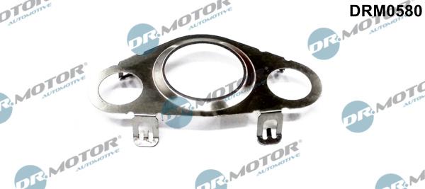 Dr.Motor Automotive DRM0580 - Tihend, EGR-klapp onlydrive.pro