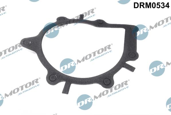 Dr.Motor Automotive DRM0534 - Gasket, water pump onlydrive.pro