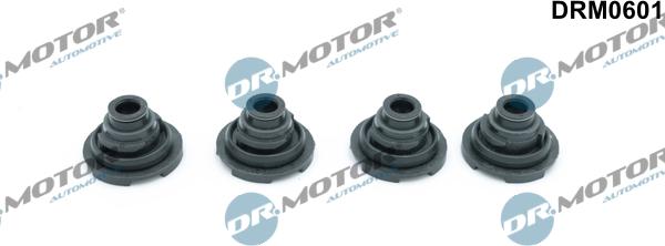 Dr.Motor Automotive DRM0601 - Уплотнительное кольцо, шахта свечи onlydrive.pro