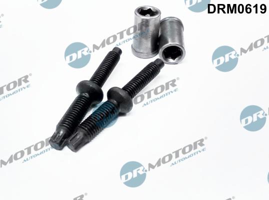 Dr.Motor Automotive DRM0619 - Screw, injection nozzle holder onlydrive.pro