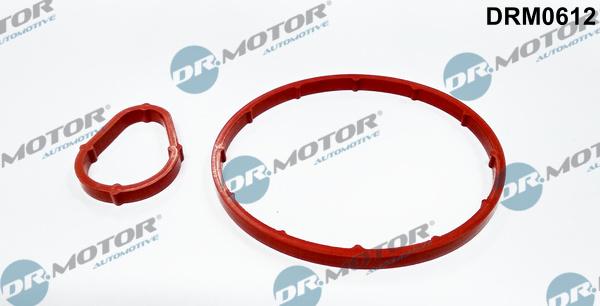 Dr.Motor Automotive DRM0612 - Tarpiklių rinkinys, vakuuminis siurblys onlydrive.pro