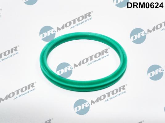 Dr.Motor Automotive DRM0624 - Blīvgredzens, Gaisa pūtes caurule onlydrive.pro