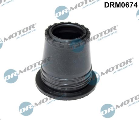 Dr.Motor Automotive DRM0674 - Heat Shield, injection system onlydrive.pro