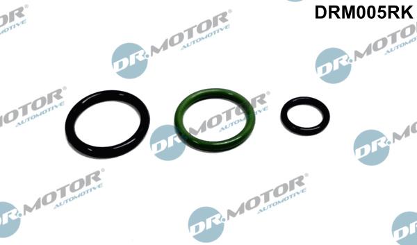 Dr.Motor Automotive DRM005RK - Repair Kit, pump-nozzle unit onlydrive.pro