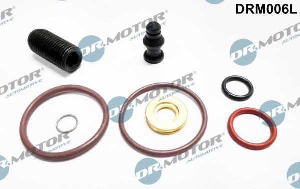 Dr.Motor Automotive DRM006L - Repair Kit, pump-nozzle unit onlydrive.pro