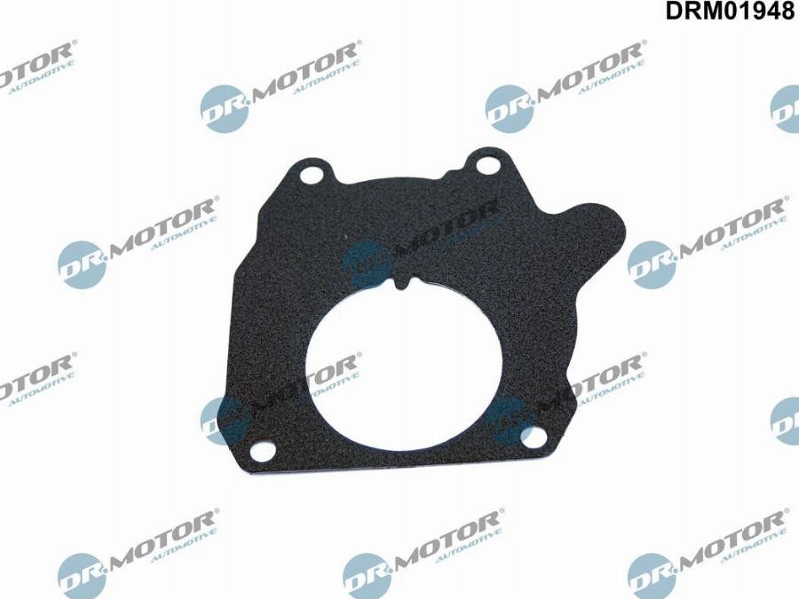 Dr.Motor Automotive DRM01948 - Gasket, vacuum pump onlydrive.pro