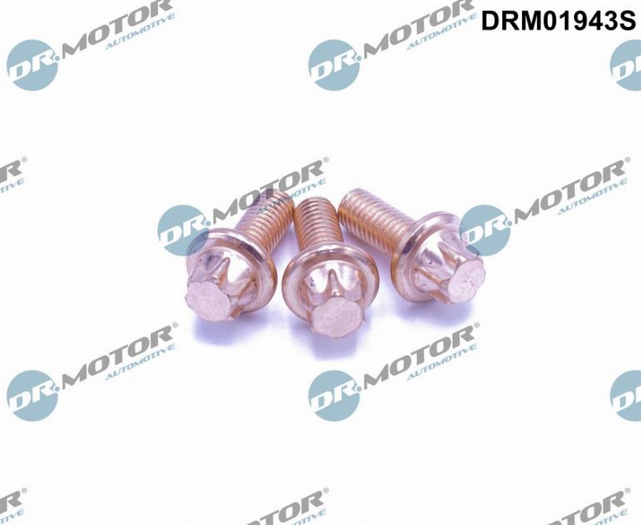 Dr.Motor Automotive DRM01943S - Ruuvi, pakoputkisto onlydrive.pro