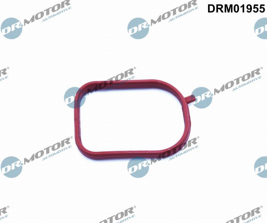 Dr.Motor Automotive DRM01955 - Gasket, thermostat housing onlydrive.pro