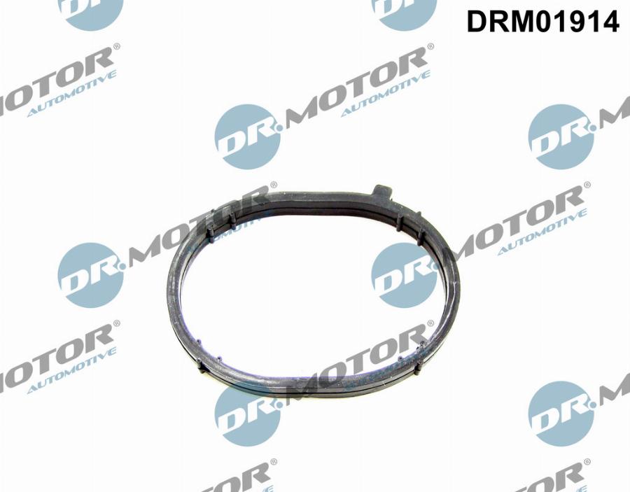 Dr.Motor Automotive DRM01914 - Прокладка, впускной коллектор onlydrive.pro