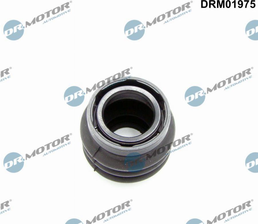 Dr.Motor Automotive DRM01975 - Seal Ring, gearshift linkage onlydrive.pro