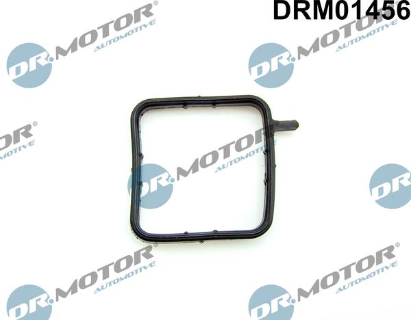 Dr.Motor Automotive DRM01456 - Прокладка, трубка охлаждающей жидкости onlydrive.pro