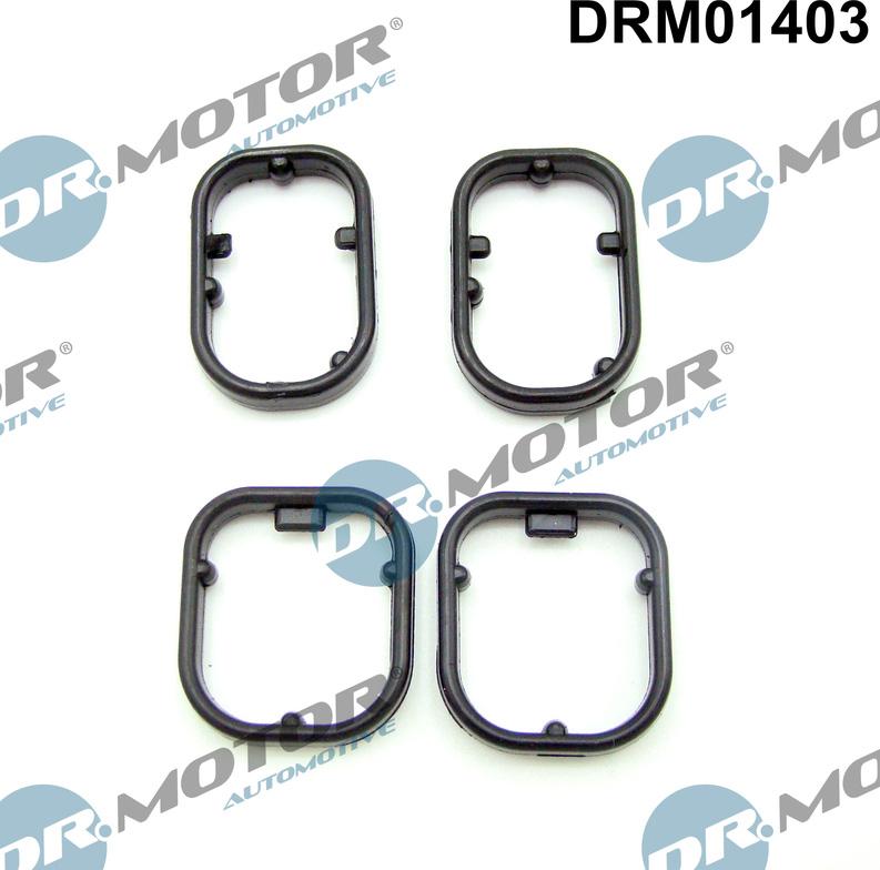 Dr.Motor Automotive DRM01403 - Tarpiklių rinkinys, alyvos aušintuvas onlydrive.pro