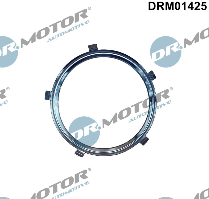 Dr.Motor Automotive DRM01425 - Blīve, Izplūdes caurule onlydrive.pro