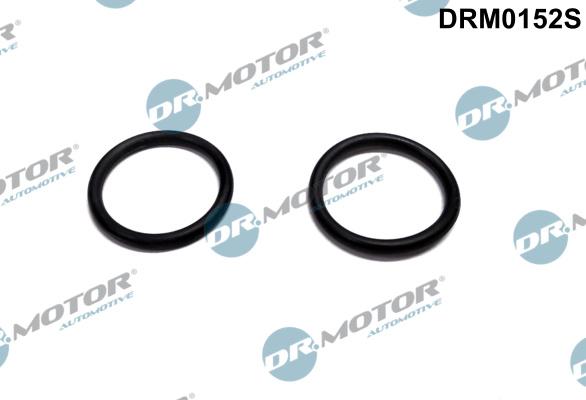 Dr.Motor Automotive DRM0152S - Gasket, intake air preheating heater flange onlydrive.pro