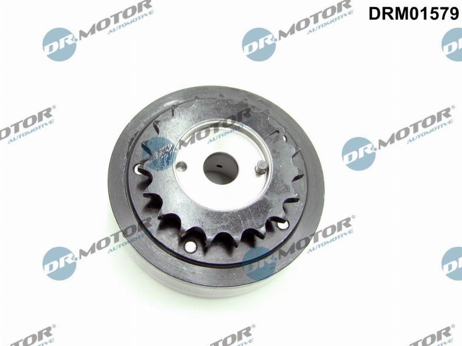 Dr.Motor Automotive DRM01579 - Nokka-akselin ajoitussäädin onlydrive.pro