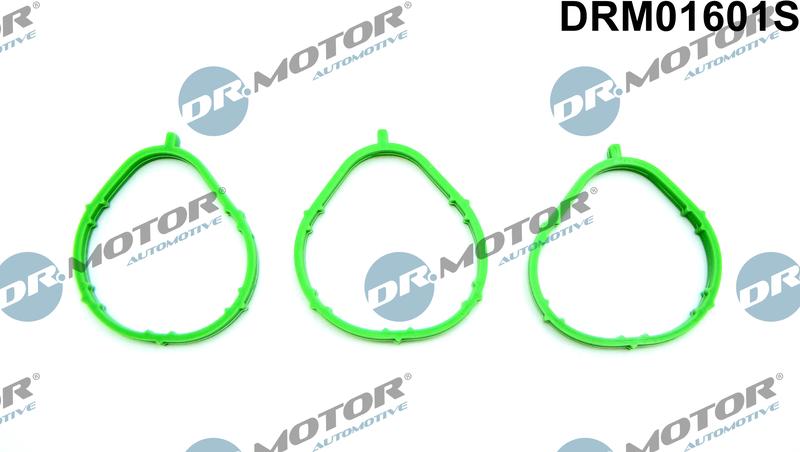 Dr.Motor Automotive DRM01601S - Gasket Set, intake manifold onlydrive.pro