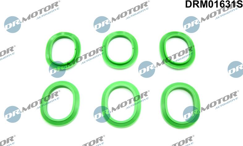 Dr.Motor Automotive DRM01631S - Gasket Set, intake manifold onlydrive.pro