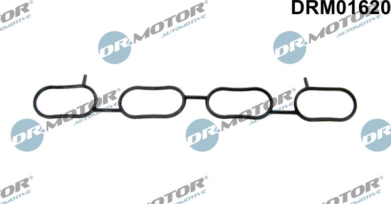 Dr.Motor Automotive DRM01620 - Gasket, intake manifold onlydrive.pro