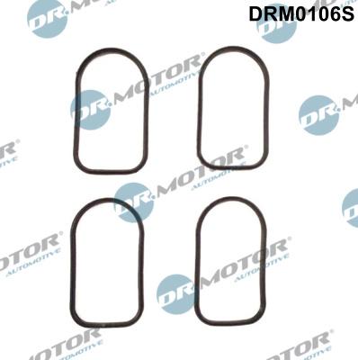 Dr.Motor Automotive DRM0106S - Gasket Set, intake manifold onlydrive.pro