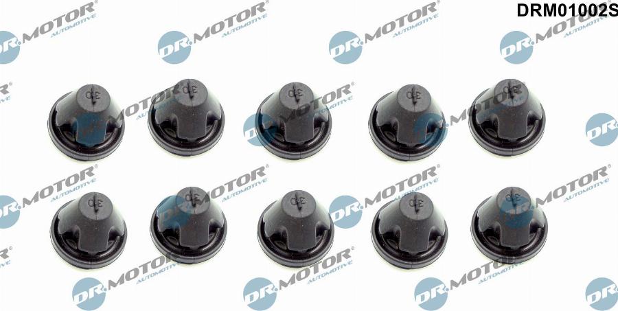 Dr.Motor Automotive DRM01002S - Rajoitin, moottorikoppa onlydrive.pro