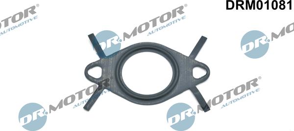 Dr.Motor Automotive DRM01081 - Tiiviste, EGR-venttiilin johdin onlydrive.pro