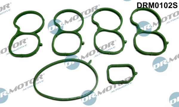 Dr.Motor Automotive DRM0102S - Gasket Set, intake manifold onlydrive.pro