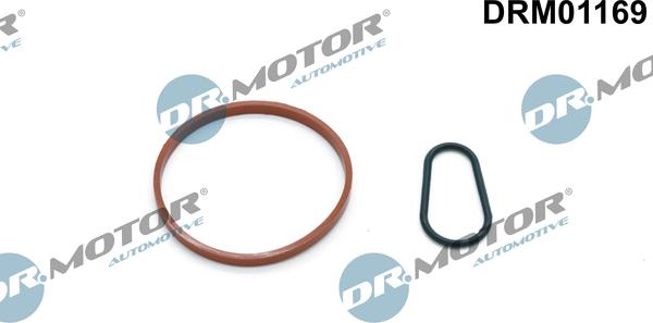 Dr.Motor Automotive DRM01169 - Комплект прокладок, вакуумный насос onlydrive.pro