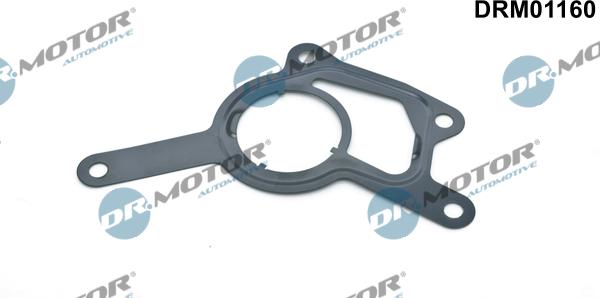 Dr.Motor Automotive DRM01160 - Gasket, vacuum pump onlydrive.pro