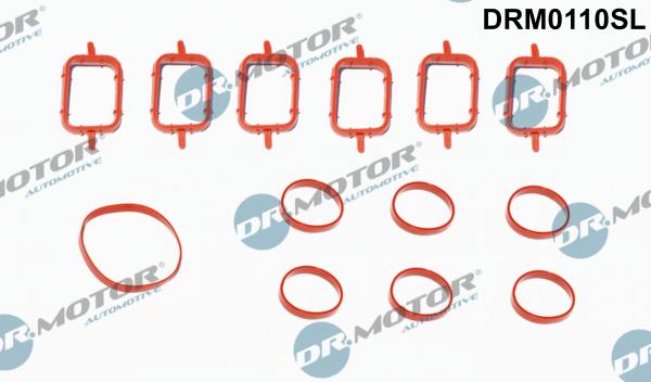 Dr.Motor Automotive DRM0110SL - Gasket Set, intake manifold onlydrive.pro