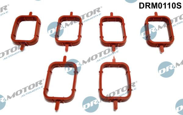 Dr.Motor Automotive DRM0110S - Gasket Set, intake manifold onlydrive.pro