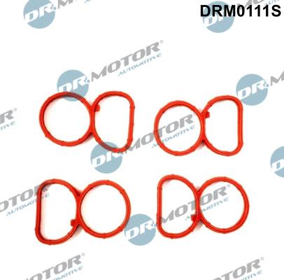 Dr.Motor Automotive DRM0111S - Tiivistesarja, imusarja onlydrive.pro