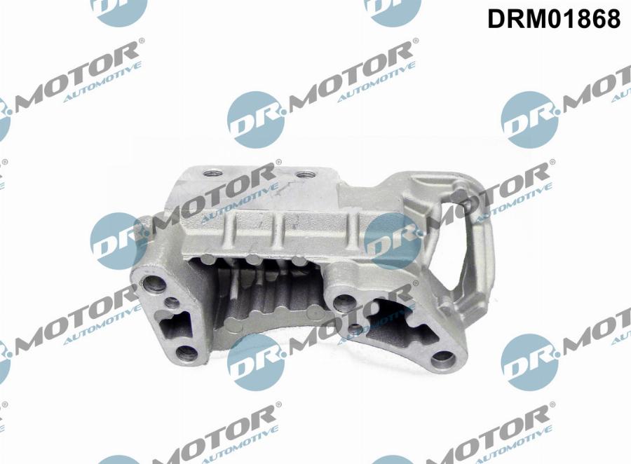 Dr.Motor Automotive DRM01868 - Paigutus,Mootor onlydrive.pro