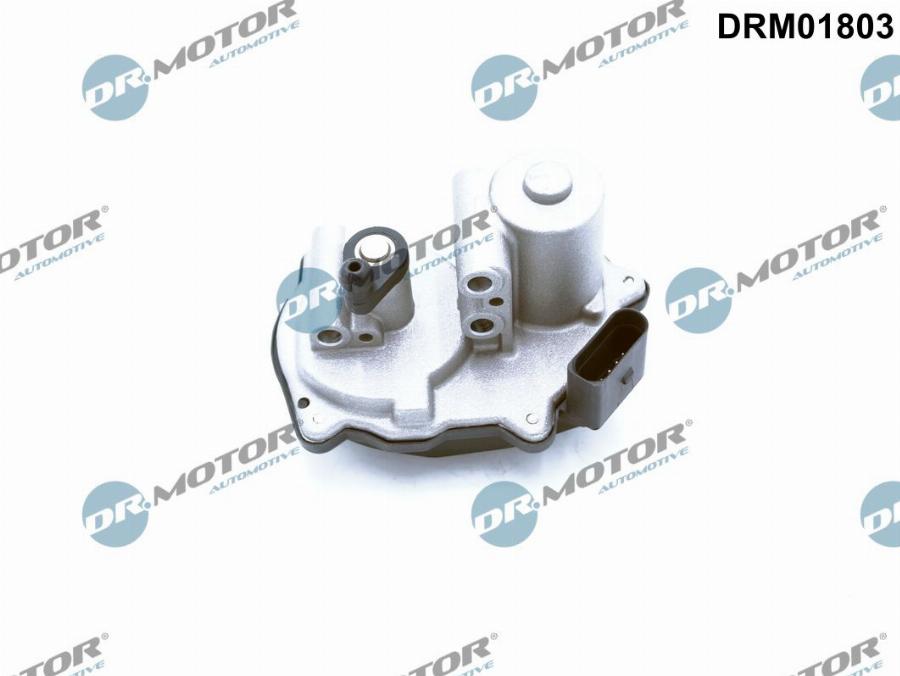 Dr.Motor Automotive DRM01803 - Control, swirl covers (induction pipe) onlydrive.pro