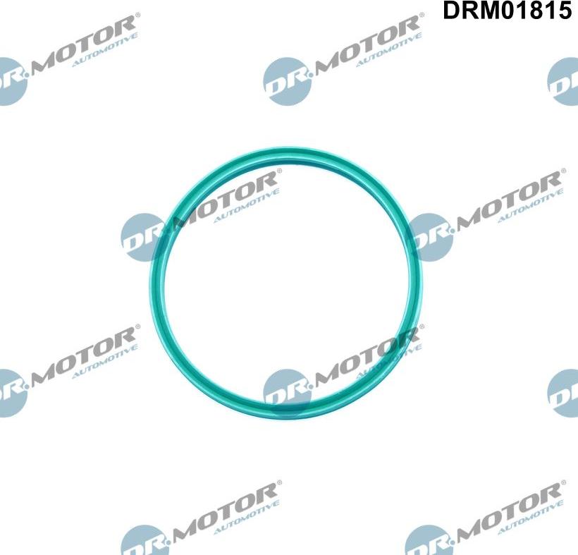 Dr.Motor Automotive DRM01815 - Уплотнительное кольцо, трубка нагнетаемого воздуха onlydrive.pro