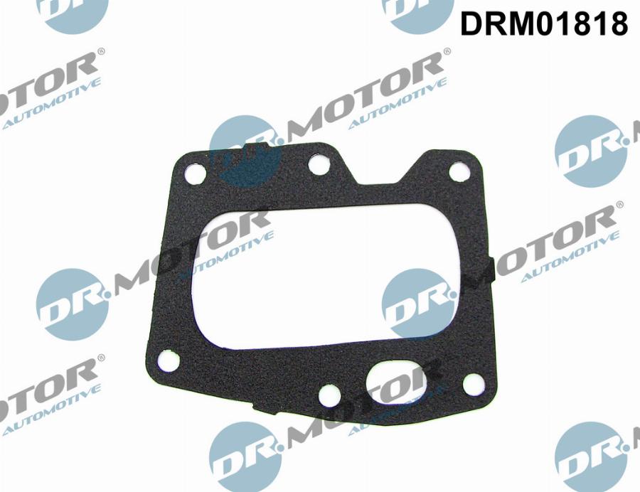 Dr.Motor Automotive DRM01818 - Seal, EGR valve onlydrive.pro