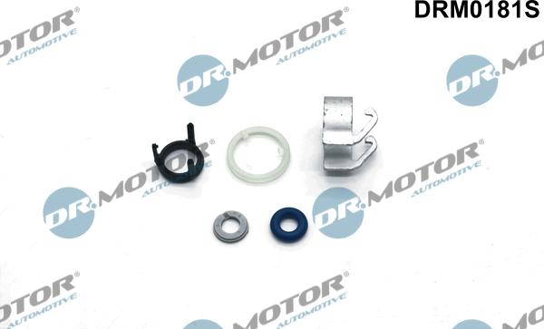 Dr.Motor Automotive DRM0181S - Repair Kit, injection nozzle onlydrive.pro