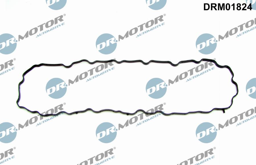 Dr.Motor Automotive DRM01824 - Blīve, Eļļas vācele onlydrive.pro