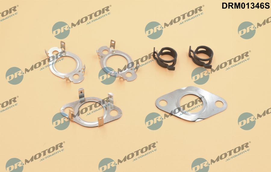 Dr.Motor Automotive DRM01346S - Gasket Set, EGR system onlydrive.pro