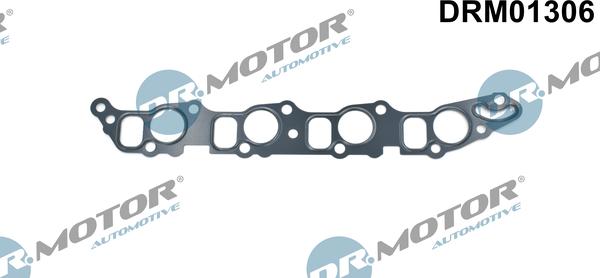 Dr.Motor Automotive DRM01306 - Gasket, intake manifold onlydrive.pro