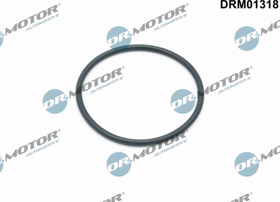 Dr.Motor Automotive DRM01318 - Seal, oil filter housing onlydrive.pro