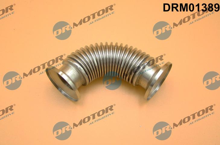 Dr.Motor Automotive DRM01389 - Vamzdis, EGR vožtuvas onlydrive.pro