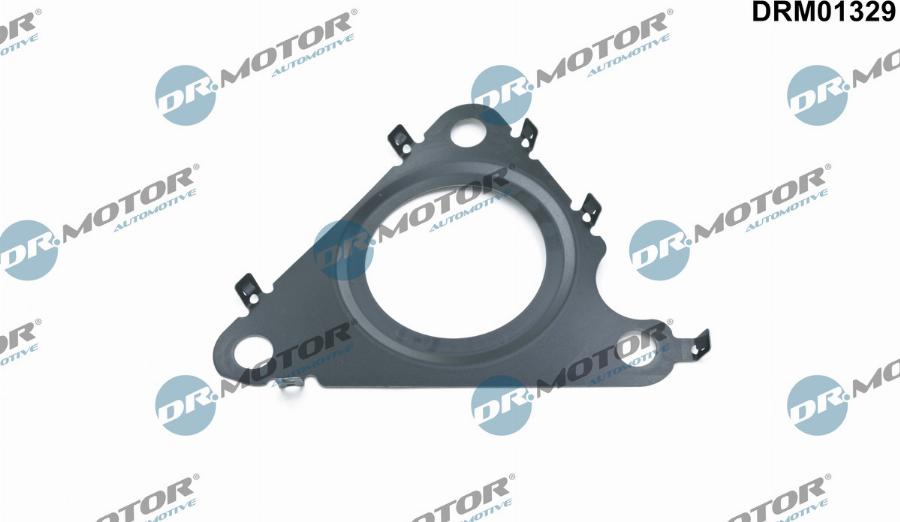 Dr.Motor Automotive DRM01329 - Blīve, Izplūdes gāzu recirkulācijas vārsts onlydrive.pro