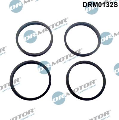 Dr.Motor Automotive DRM0132S - Gasket Set, intake manifold onlydrive.pro