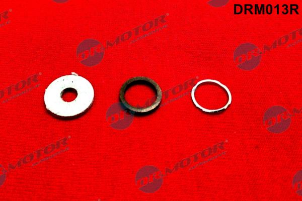 Dr.Motor Automotive DRM013R - Repair Kit, common rail system onlydrive.pro